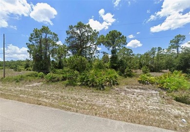This beautiful *CANAL* residential lot is located in nice and on Mirror Lakes Golf Club in Florida - for sale on GolfHomes.com, golf home, golf lot