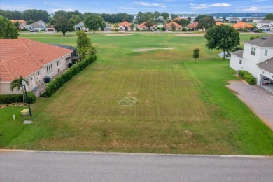 Experience the lifestyle you deserve with this AMAZING parcel on Deer Island Country Club in Florida - for sale on GolfHomes.com, golf home, golf lot