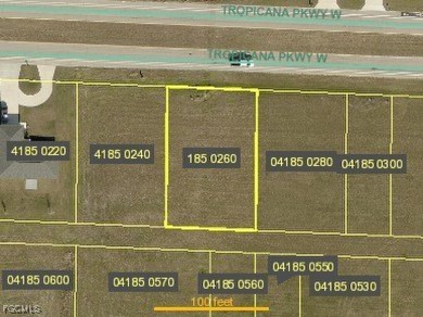 Don't miss this great building lot in popular and growing NW on Burnt Store Golf Club in Florida - for sale on GolfHomes.com, golf home, golf lot