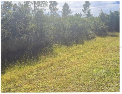 Wonderful opportunity to purchase a 1/2 acre + vacant lot in a on Indian Lake Estates Golf and Country Club in Florida - for sale on GolfHomes.com, golf home, golf lot