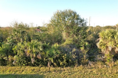 RMF10- RESIDENTIAL MULTIFAMLY - DUPLEX LOT. No HOA, deed on Duffys Golf Center in Florida - for sale on GolfHomes.com, golf home, golf lot