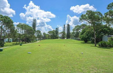 Welcome to Lake Fairways Golf & Country Club, a premier 40+ on Pine Lakes Country Club in Florida - for sale on GolfHomes.com, golf home, golf lot