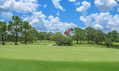 Welcome to Lake Fairways Golf & Country Club, a premier 40+ on Pine Lakes Country Club in Florida - for sale on GolfHomes.com, golf home, golf lot