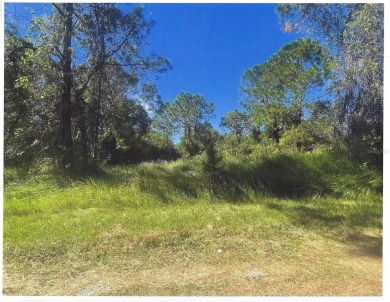 1/2 acre vacant residential lot located in the Indian Lake on Indian Lake Estates Golf and Country Club in Florida - for sale on GolfHomes.com, golf home, golf lot