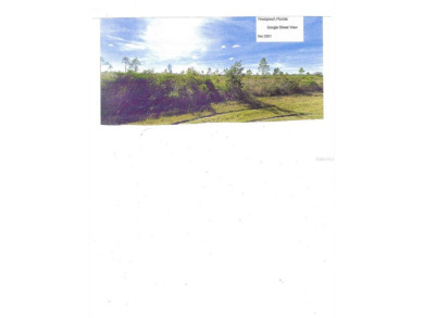 1/2 acre vacant residential lot located in the Indian Lake on Indian Lake Estates Golf and Country Club in Florida - for sale on GolfHomes.com, golf home, golf lot