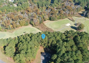 Golf course lot with 180 degree views of the 13th hole in the on Sound Golf Links at Albemarle Plantation in North Carolina - for sale on GolfHomes.com, golf home, golf lot