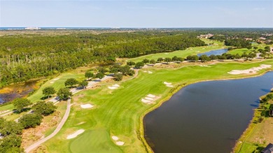 Build Your Dream Home on This Stunning waterfront Lot!
Imagine on Conservatory Course At Hammock Beach Resort in Florida - for sale on GolfHomes.com, golf home, golf lot