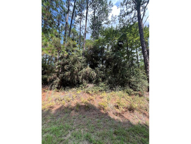 Come build your East Texas dream home at beautiful Lake Sam on Rayburn Country Club in Texas - for sale on GolfHomes.com, golf home, golf lot