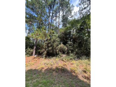 Come build your East Texas dream home at beautiful Lake Sam on Rayburn Country Club in Texas - for sale on GolfHomes.com, golf home, golf lot