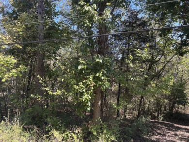 Lakefront Lot in Cherokee Village, ArkansasDon't miss this on Cherokee Village North Course in Arkansas - for sale on GolfHomes.com, golf home, golf lot