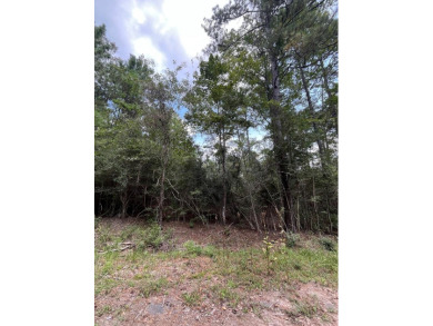 Come build your East Texas dream home at beautiful Lake Sam on Rayburn Country Club in Texas - for sale on GolfHomes.com, golf home, golf lot