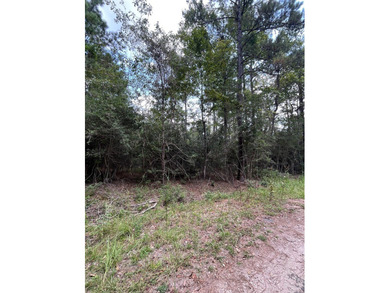 Come build your East Texas dream home at beautiful Lake Sam on Rayburn Country Club in Texas - for sale on GolfHomes.com, golf home, golf lot