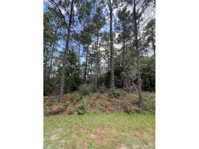 Come build your East Texas dream home at beautiful Lake Sam on Rayburn Country Club in Texas - for sale on GolfHomes.com, golf home, golf lot