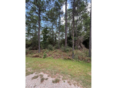 Come build your East Texas dream home at beautiful Lake Sam on Rayburn Country Club in Texas - for sale on GolfHomes.com, golf home, golf lot