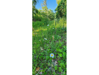 Welcome to this hidden gem in the Lake Lure, NC Mountains! Lot on Rumbling Bald Resort on Lake Lure in North Carolina - for sale on GolfHomes.com, golf home, golf lot