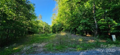 Welcome to this hidden gem in the Lake Lure, NC Mountains! Lot on Rumbling Bald Resort on Lake Lure in North Carolina - for sale on GolfHomes.com, golf home, golf lot
