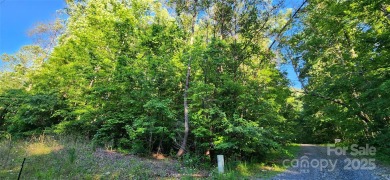 Welcome to this hidden gem in the Lake Lure, NC Mountains! Lot on Rumbling Bald Resort on Lake Lure in North Carolina - for sale on GolfHomes.com, golf home, golf lot