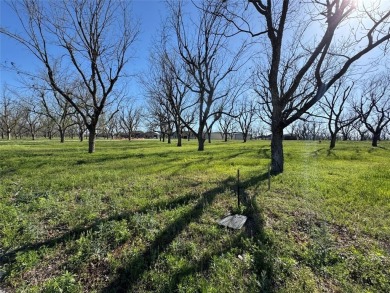 FLY IN  SEE THIS READY TO BUILD LOT BEFORE IT'S GONE! IF YOU on Pecan Plantation Country Club in Texas - for sale on GolfHomes.com, golf home, golf lot