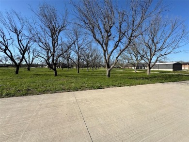FLY IN  SEE THIS READY TO BUILD LOT BEFORE IT'S GONE! IF YOU on Pecan Plantation Country Club in Texas - for sale on GolfHomes.com, golf home, golf lot