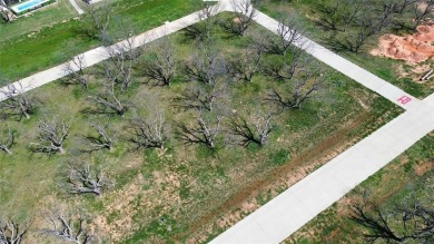 FLY IN  SEE THIS READY TO BUILD LOT BEFORE IT'S GONE! IF YOU on Pecan Plantation Country Club in Texas - for sale on GolfHomes.com, golf home, golf lot