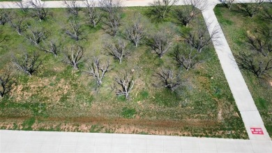 FLY IN  SEE THIS READY TO BUILD LOT BEFORE IT'S GONE! IF YOU on Pecan Plantation Country Club in Texas - for sale on GolfHomes.com, golf home, golf lot