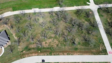 FLY IN  SEE THIS READY TO BUILD LOT BEFORE IT'S GONE! IF YOU on Pecan Plantation Country Club in Texas - for sale on GolfHomes.com, golf home, golf lot