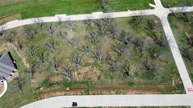 FLY IN  SEE THIS READY TO BUILD LOT BEFORE IT'S GONE! IF YOU on Pecan Plantation Country Club in Texas - for sale on GolfHomes.com, golf home, golf lot