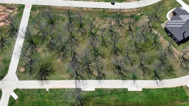 FLY IN  SEE THIS READY TO BUILD LOT BEFORE IT'S GONE! IF YOU on Pecan Plantation Country Club in Texas - for sale on GolfHomes.com, golf home, golf lot