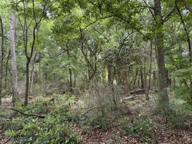 Located just 18 minutes from the heart of New Orleans and only 0 on English Turn Golf and Country Club in Louisiana - for sale on GolfHomes.com, golf home, golf lot