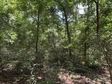 Located just 18 minutes from the heart of New Orleans and only 0 on English Turn Golf and Country Club in Louisiana - for sale on GolfHomes.com, golf home, golf lot