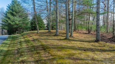 This near level with easy access points, 0.75-acre parcel offers on Trillium Links in North Carolina - for sale on GolfHomes.com, golf home, golf lot