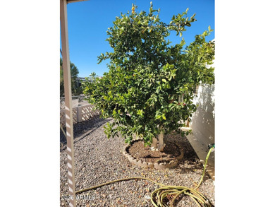 REDUCED! This is a lovely furnished 2 bedroom 2 bath home with on 3 Parks Fairways in Arizona - for sale on GolfHomes.com, golf home, golf lot