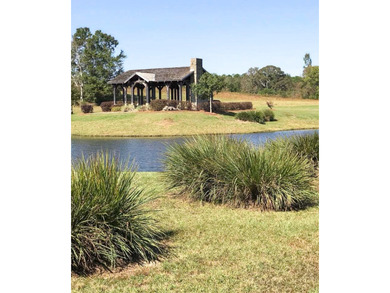 Builder Ready Lots in the Willow Walk Subdivision. Enjoy all the on Headland Country Club in Alabama - for sale on GolfHomes.com, golf home, golf lot