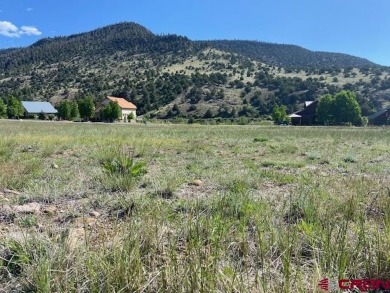 Trisha Taylor, RE/MAX Pinnacle, C: , trisha,  : This Fairway on Rio Grande Golf Club in Colorado - for sale on GolfHomes.com, golf home, golf lot