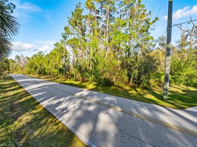 Build Your Dream Home in Port Charlotte!

This .26-acre vacant on Sabal Trace Golf and Country Club in Florida - for sale on GolfHomes.com, golf home, golf lot