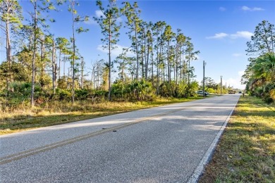 Build Your Dream Home in Port Charlotte!

This .26-acre vacant on Sabal Trace Golf and Country Club in Florida - for sale on GolfHomes.com, golf home, golf lot