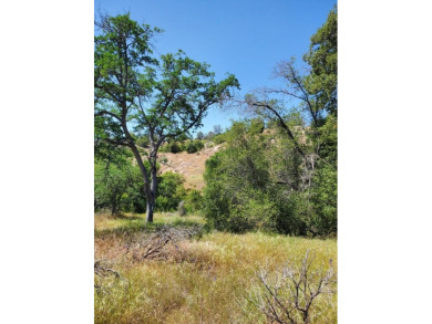 Large 14.62+/- acre lot between existing homes! Bring your on Yosemite Lakes Park Golf Course in California - for sale on GolfHomes.com, golf home, golf lot