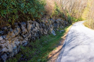 This homesite offers stunning year round mountain views and is on Old Edwards Club in North Carolina - for sale on GolfHomes.com, golf home, golf lot