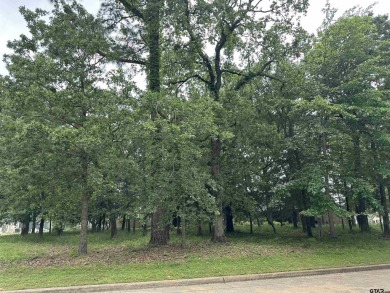 Beautiful corner lot in Eagles Bluff. Looking to live where you on Eagles Bluff Golf Course in Texas - for sale on GolfHomes.com, golf home, golf lot