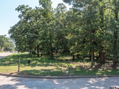 Beautiful corner lot in Eagles Bluff. Looking to live where you on Eagles Bluff Golf Course in Texas - for sale on GolfHomes.com, golf home, golf lot