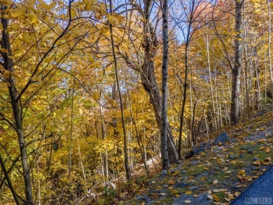 This homesite offers stunning year round mountain views and is on Old Edwards Club in North Carolina - for sale on GolfHomes.com, golf home, golf lot