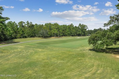 AMAZING CUSTOM-BUILT HOME W/ 125 FT ON THE GOLF COURSE, #8 F THE on Diamondhead Country Club in Mississippi - for sale on GolfHomes.com, golf home, golf lot