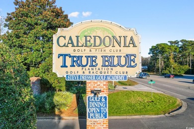 Imagine waking up on the ground floor, coffee in hand, and on True Blue Plantation in South Carolina - for sale on GolfHomes.com, golf home, golf lot