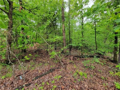 This lot not only has access to SEWER!!!  It's also located in a on Bella Vista - Metfield Golf Complex and Country Club in Arkansas - for sale on GolfHomes.com, golf home, golf lot