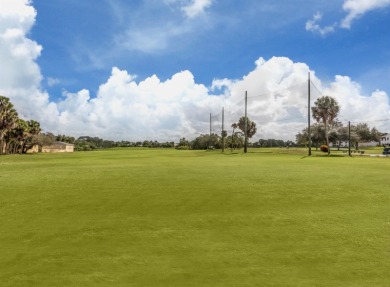 Welcome to your dream retreat in the heart of the Par 4 Capri on Capri Isle Golf Club in Florida - for sale on GolfHomes.com, golf home, golf lot