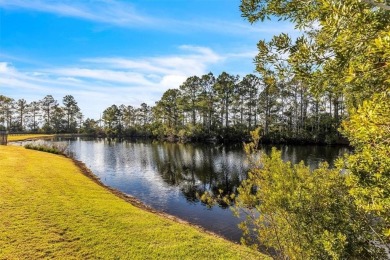 BACK ON THE MARKET AT NO FAULT OF THE SELLER! Step into the on The Club At Osprey Cove in Georgia - for sale on GolfHomes.com, golf home, golf lot