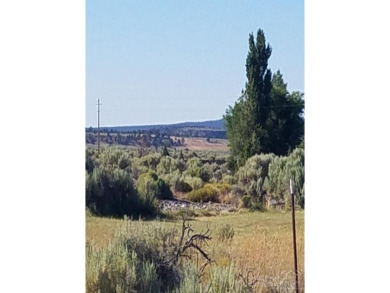 Attention Golfers! Where can you build a home so affordable than on Christmas Valley Golf Course in Oregon - for sale on GolfHomes.com, golf home, golf lot