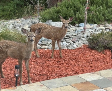This Exceptional Property Combines Modern Amenities with a Prime on Eureka Golf Course in California - for sale on GolfHomes.com, golf home, golf lot