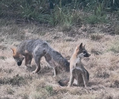 This Exceptional Property Combines Modern Amenities with a Prime on Eureka Golf Course in California - for sale on GolfHomes.com, golf home, golf lot
