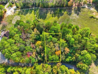 OWNER FINANCING AVAILABLE.Rayburn Country golf course frontage! on Rayburn Country Club in Texas - for sale on GolfHomes.com, golf home, golf lot